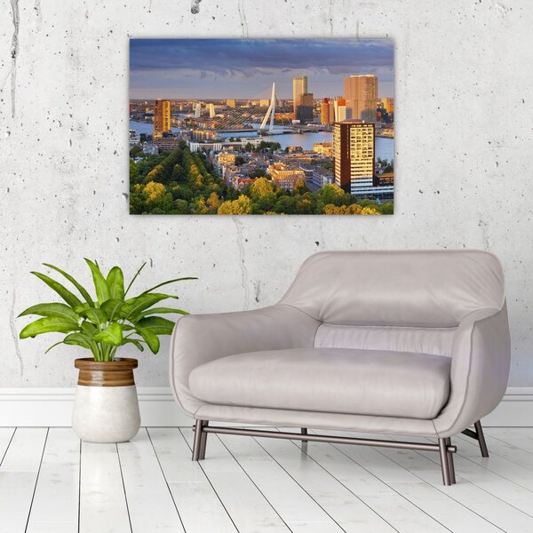 Tablou - Panorama Rotterdamului, Țările de Jos (90x60 cm)
