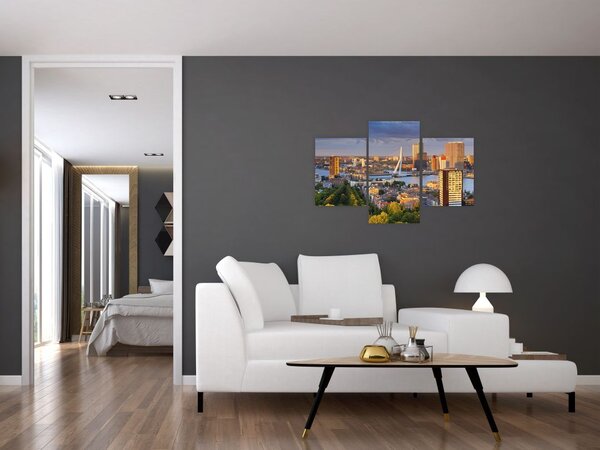 Tablou - Panorama Rotterdamului, Țările de Jos (90x60 cm)