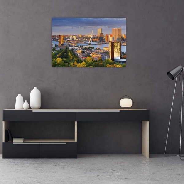 Tablou - Panorama Rotterdamului, Țările de Jos (90x60 cm)