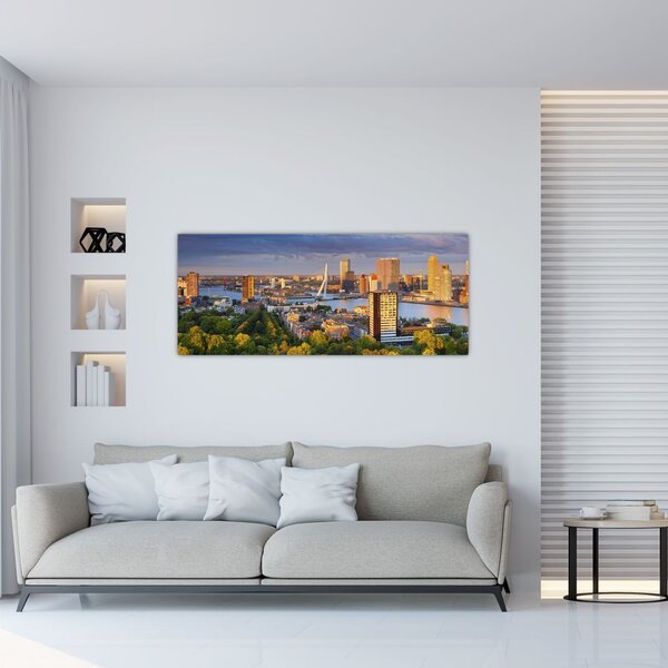 Tablou - Panorama Rotterdamului, Țările de Jos (120x50 cm)