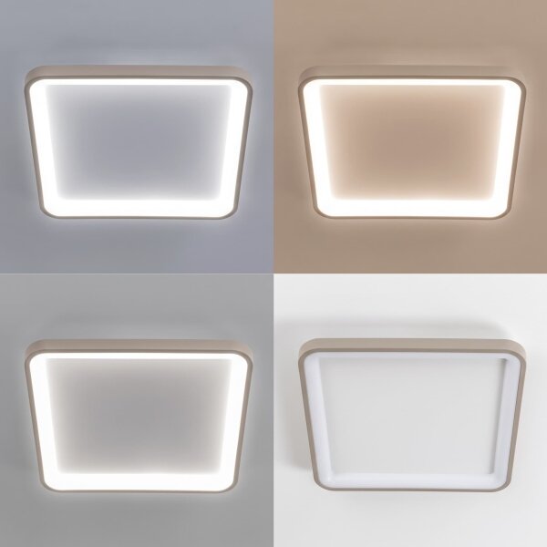 BRILAGI - LED plafonieră cu dimmer FALCON SLIM LED/50W/230V alb/bej + telecomandă