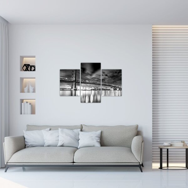 Tablou - Podul Benjamin Franklin, Philadelphia, alb-negru (90x60 cm)