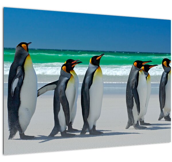 Tablou - Grup de pinguini regali (70x50 cm)