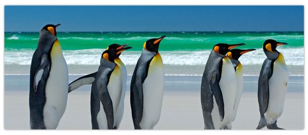 Tablou - Grup de pinguini regali (120x50 cm)