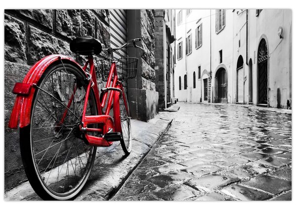 Tablou - Bicicleta roșie pe o stradă pavată (90x60 cm)