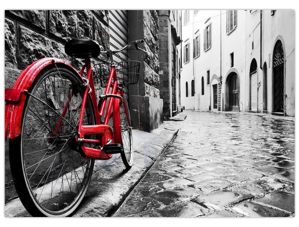 Tablou - Bicicleta roșie pe o stradă pavată (70x50 cm)