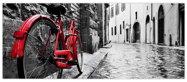 Tablou - Bicicleta roșie pe o stradă pavată (120x50 cm)