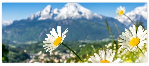 Tablou - Primăvara în Alpi (120x50 cm)