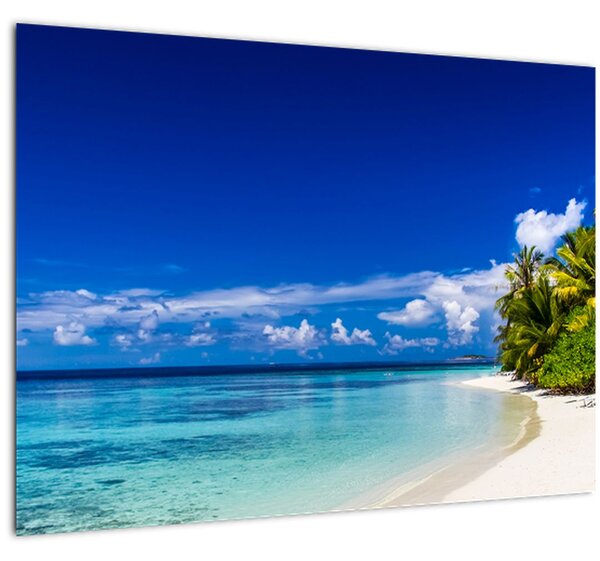 Tablou - Plaja tropicală (70x50 cm)