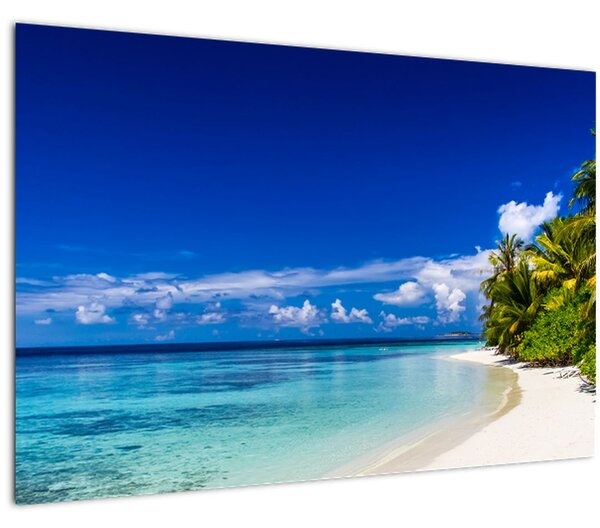 Tablou - Plaja tropicală (90x60 cm)