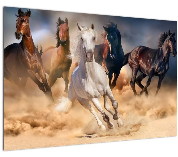 Tablou - Caii în deșert (90x60 cm)