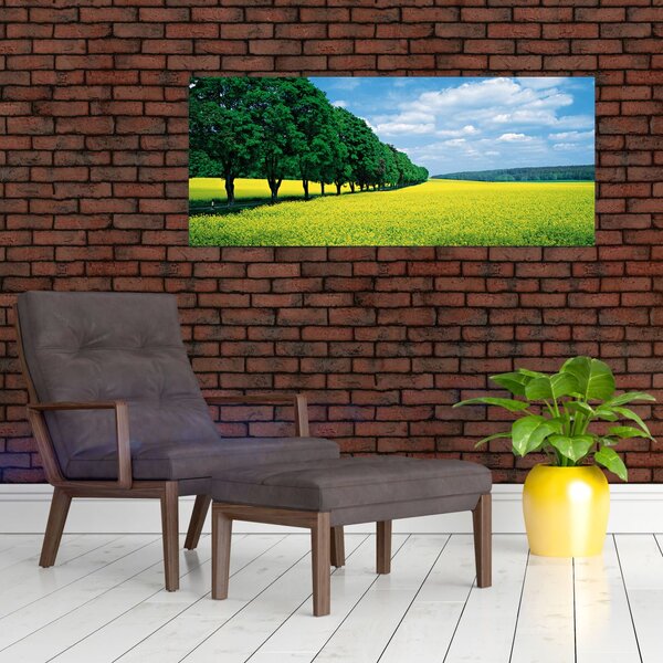 Tablou - Câmp cu alei (120x50 cm)