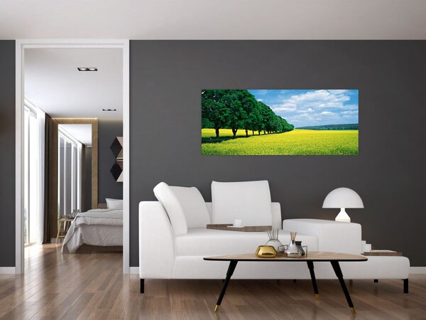 Tablou - Câmp cu alei (120x50 cm)