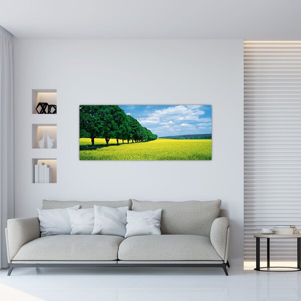 Tablou - Câmp cu alei (120x50 cm)