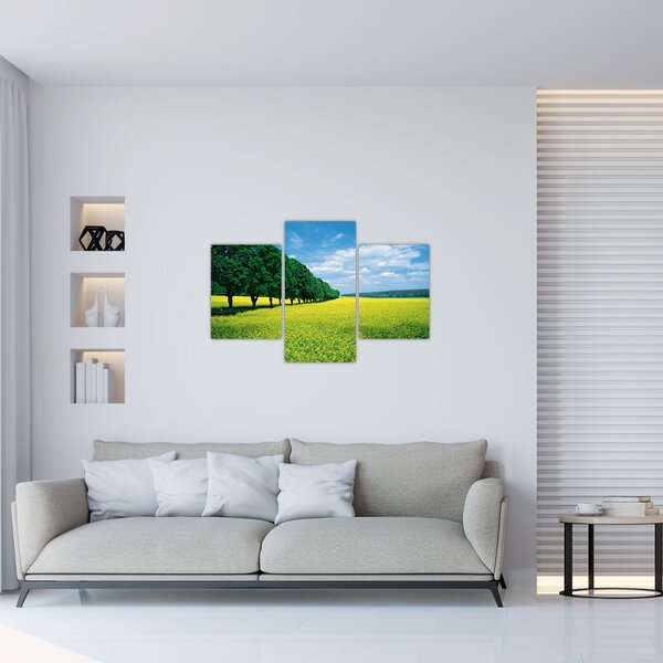 Tablou - Câmp cu alei (90x60 cm)