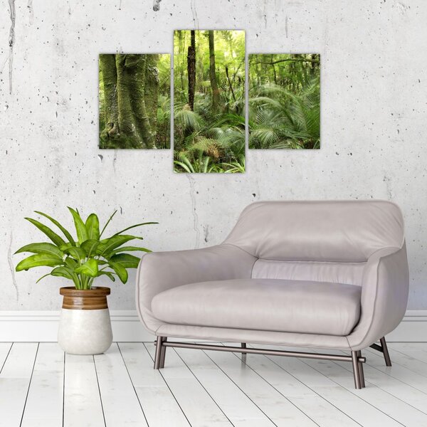 Tablou - Pădure tropicală (90x60 cm)
