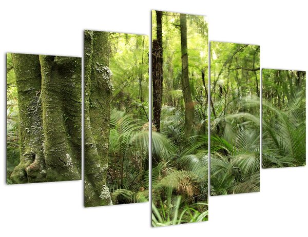 Tablou - Pădure tropicală (150x105 cm)