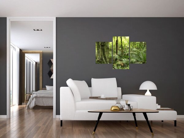 Tablou - Pădure tropicală (90x60 cm)