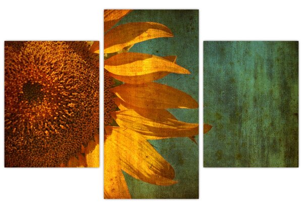 Tablou - Floarea soarelui (90x60 cm)