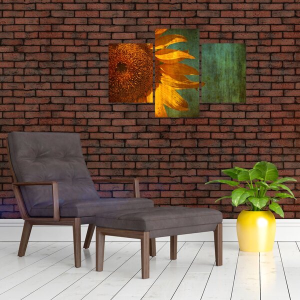 Tablou - Floarea soarelui (90x60 cm)