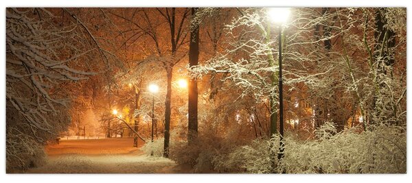 Tablou - Parcul înzăpezit (120x50 cm)