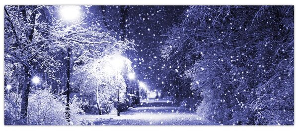 Tablou - Noaptea magică de iarnă (120x50 cm)