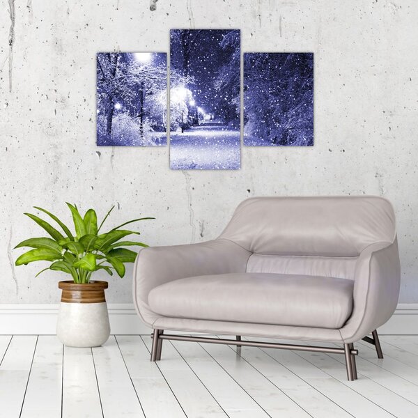 Tablou - Noaptea magică de iarnă (90x60 cm)
