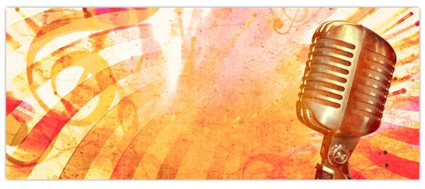 Tablou - Microfon retro (120x50 cm)