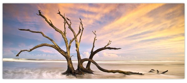 Tablou - Copacul în ocean (120x50 cm)