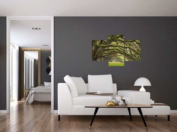 Tablou - Oaks Avenue, Charleston, Carolina de Sud, SUA (90x60 cm)