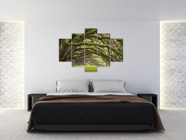 Tablou - Oaks Avenue, Charleston, Carolina de Sud, SUA (150x105 cm)