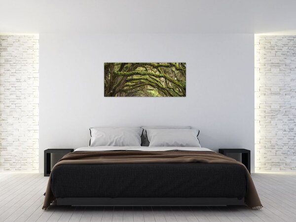 Tablou - Oaks Avenue, Charleston, Carolina de Sud, SUA (120x50 cm)