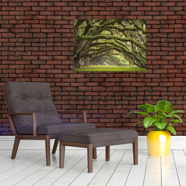 Tablou - Oaks Avenue, Charleston, Carolina de Sud, SUA (70x50 cm)
