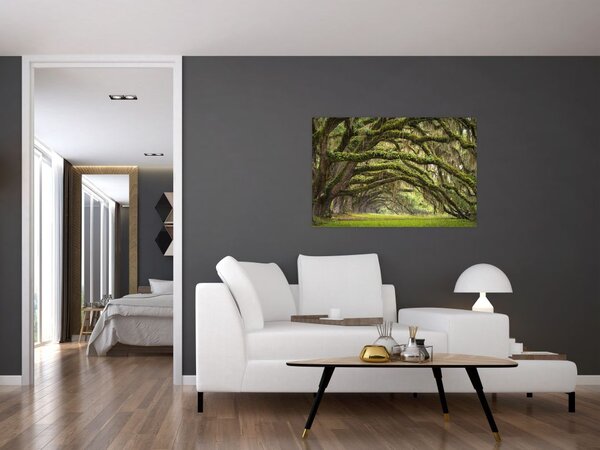 Tablou - Oaks Avenue, Charleston, Carolina de Sud, SUA (90x60 cm)