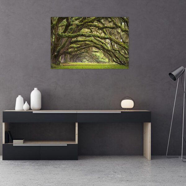 Tablou - Oaks Avenue, Charleston, Carolina de Sud, SUA (90x60 cm)