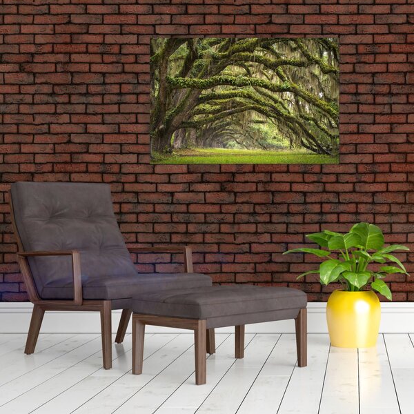 Tablou - Oaks Avenue, Charleston, Carolina de Sud, SUA (90x60 cm)