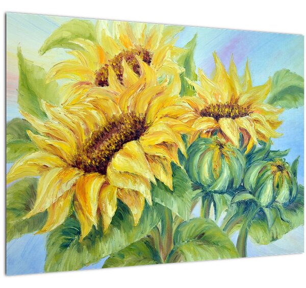 Tablou pe sticlă - Floarea soarelui înflorită (70x50 cm)