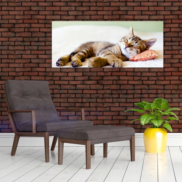 Tablou - Pisicuța adormită (120x50 cm)