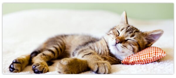 Tablou - Pisicuța adormită (120x50 cm)