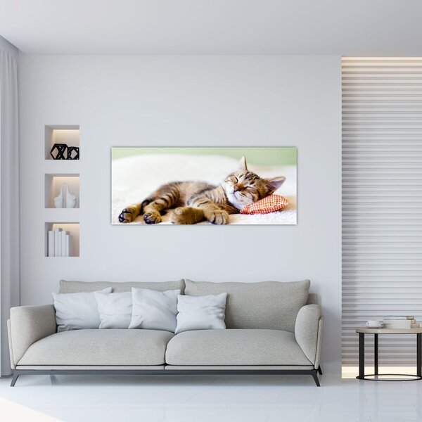 Tablou - Pisicuța adormită (120x50 cm)