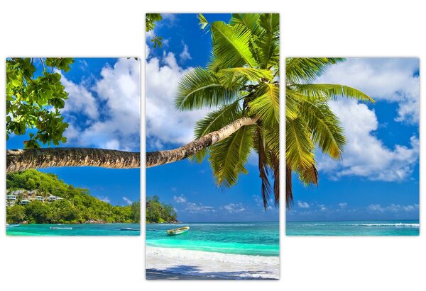 Tablou - Seychelles (90x60 cm)