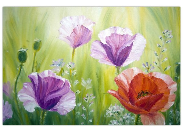 Tablou - Maci (90x60 cm)