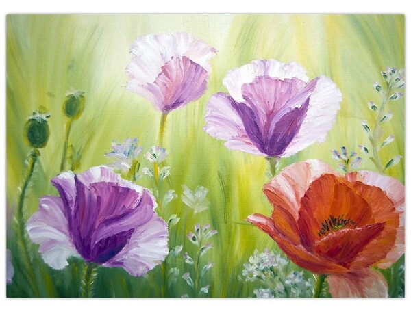 Tablou - Maci (70x50 cm)