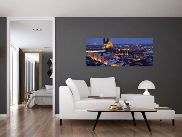 Tablou - Catedrala Sf. Peter și Paul, Brno, Republica Cehă (120x50 cm)