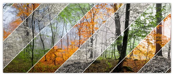 Tablou - Schimbarea anotimpurilor (120x50 cm)