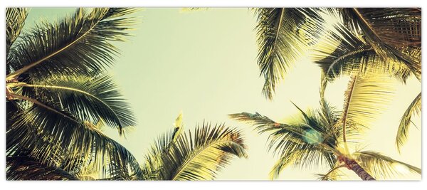 Tablou - Palmieri de cocos (120x50 cm)