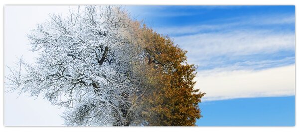 Tablou - Schimbarea anotimpurilor (120x50 cm)