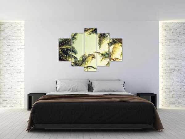 Tablou - Palmieri de cocos (150x105 cm)