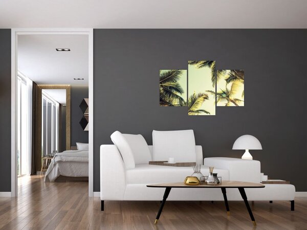 Tablou - Palmieri de cocos (90x60 cm)