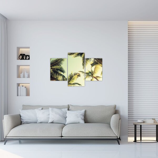 Tablou - Palmieri de cocos (90x60 cm)